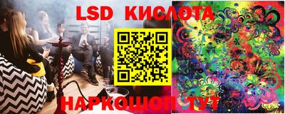 гашик Кулебаки