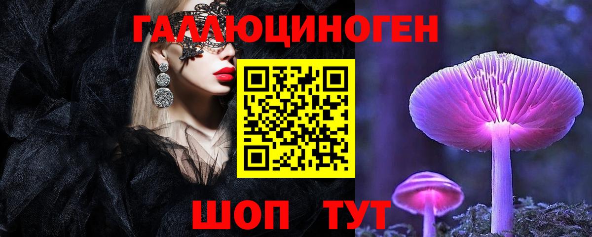 Зерноград  Галлюциногенные грибы Psilocybine cubensis  Вход с VPN 